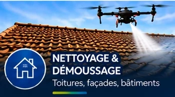 nettoyage demousssage drone demoussage par drone